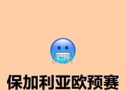 开云下载-匈牙利队在欧预赛中面对压力的简单介绍