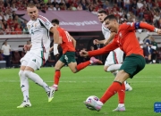 开云APP-匈牙利队主场憾负波斯尼亚，小组前景黯淡的简单介绍