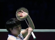 开云官方app入口-包含德国队力克印尼队，辛杜惊艳四座的词条