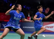 开云足球直播-关于丹麦队险胜日本队，郑思维高光表现的信息