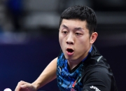 开云体育平台APP-韩国乒乓球队强势瑞典乒乓球队，许昕爆发神勇的简单介绍