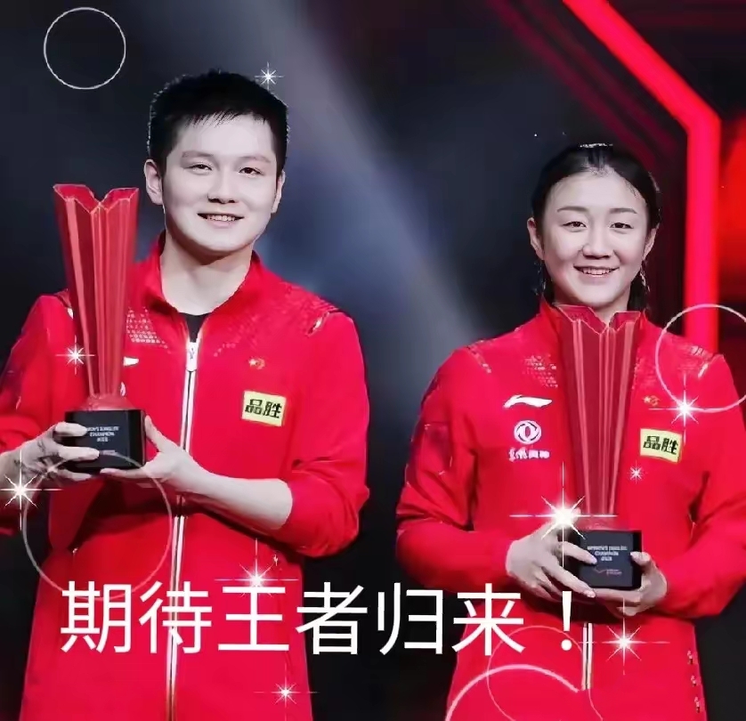 韩国乒乓球队绝地反击中国乒乓球队，奥恰洛夫送出助攻的简单介绍