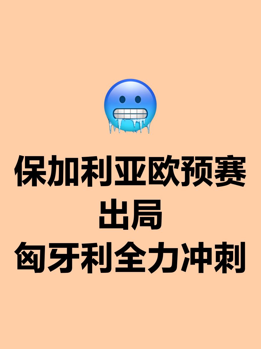 匈牙利队在欧预赛中面对压力的简单介绍