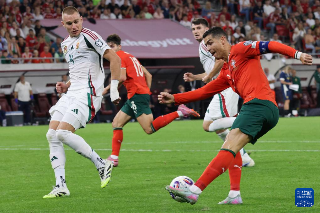 匈牙利队主场憾负波斯尼亚，小组前景黯淡的简单介绍