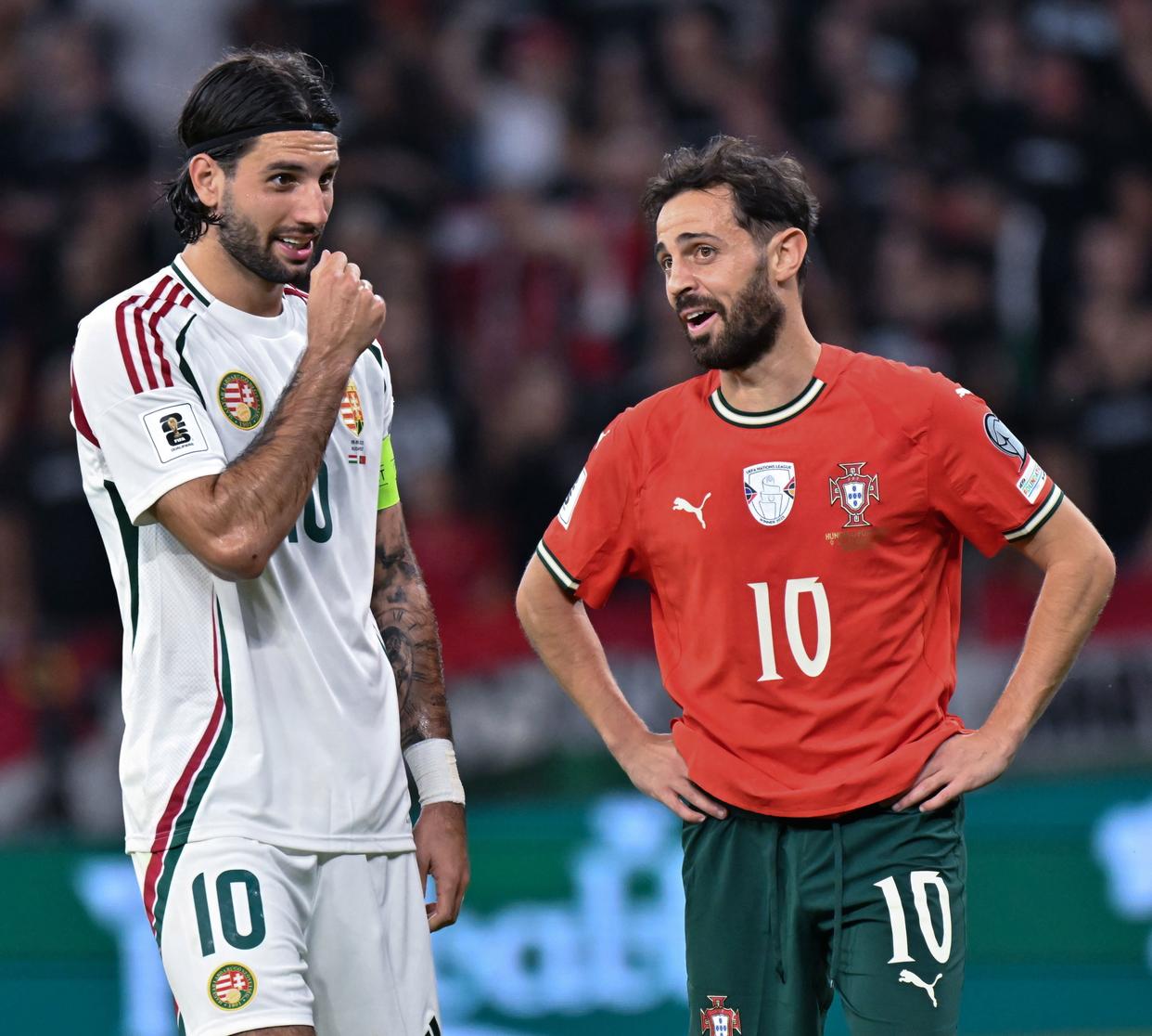 匈牙利队主场憾负波斯尼亚，小组前景黯淡的简单介绍