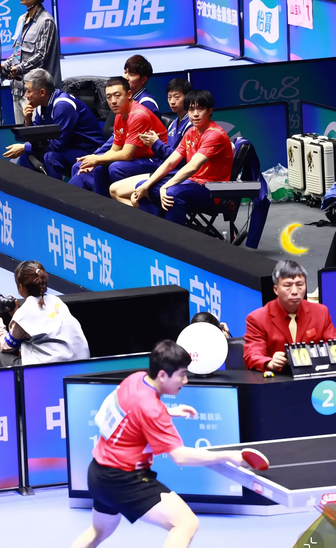 比利时乒乓球队血洗中国乒乓球队，马龙制霸全场的简单介绍