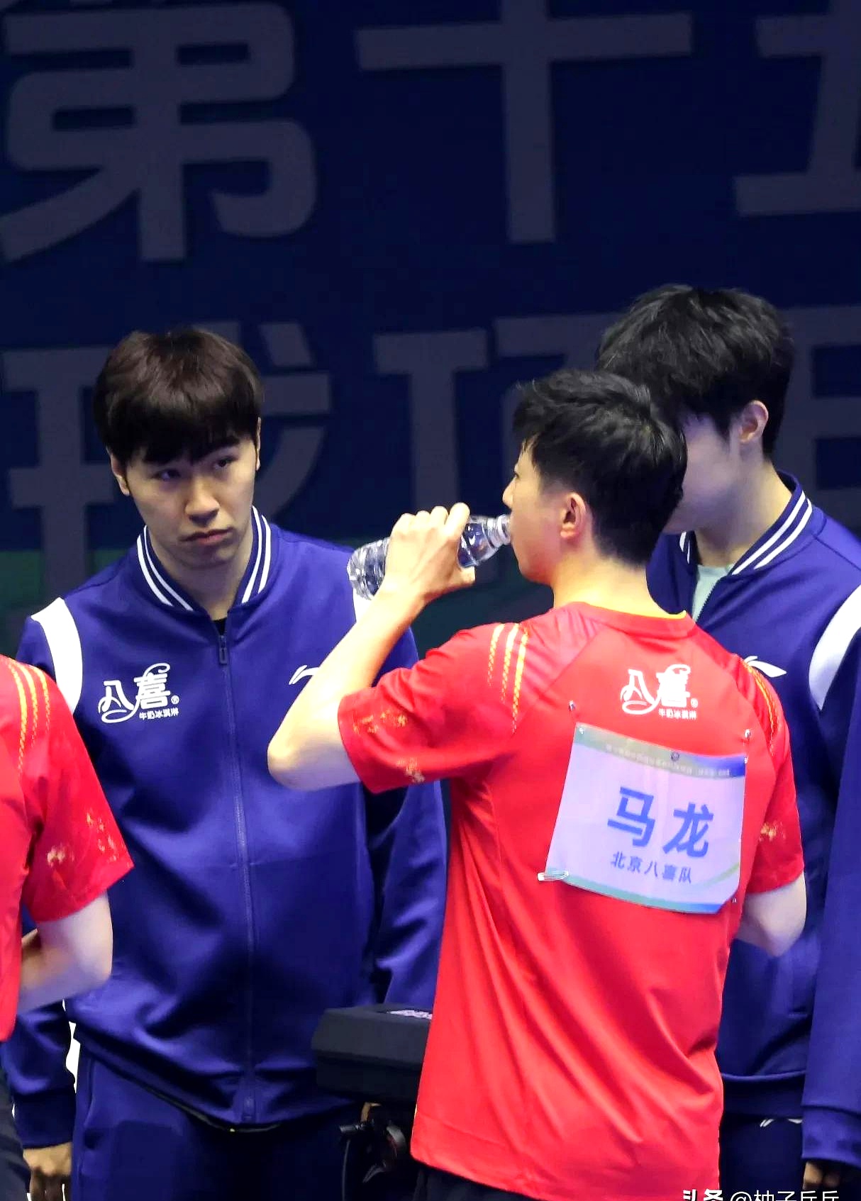 包含韩国队鏖战波兰队，马龙状态火热的词条