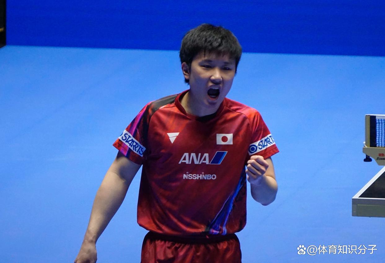 韩国队横扫波兰队，张本智和状态火热的简单介绍