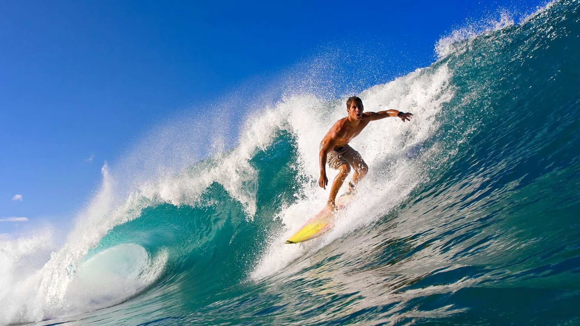 凯尔特人对阵深圳队,贝恩攻防两端的统治性表演